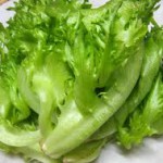 レタス